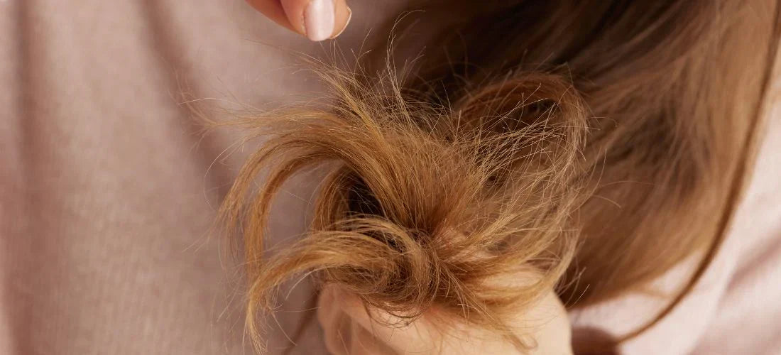 OLAPLEX Nº.3PLUS In Repairing Damaged Hair