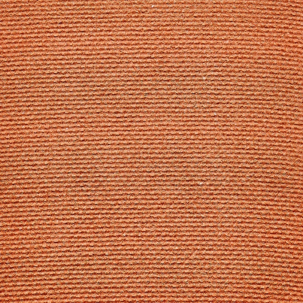 Eye of Horus Eyeshadow Compact REFILL