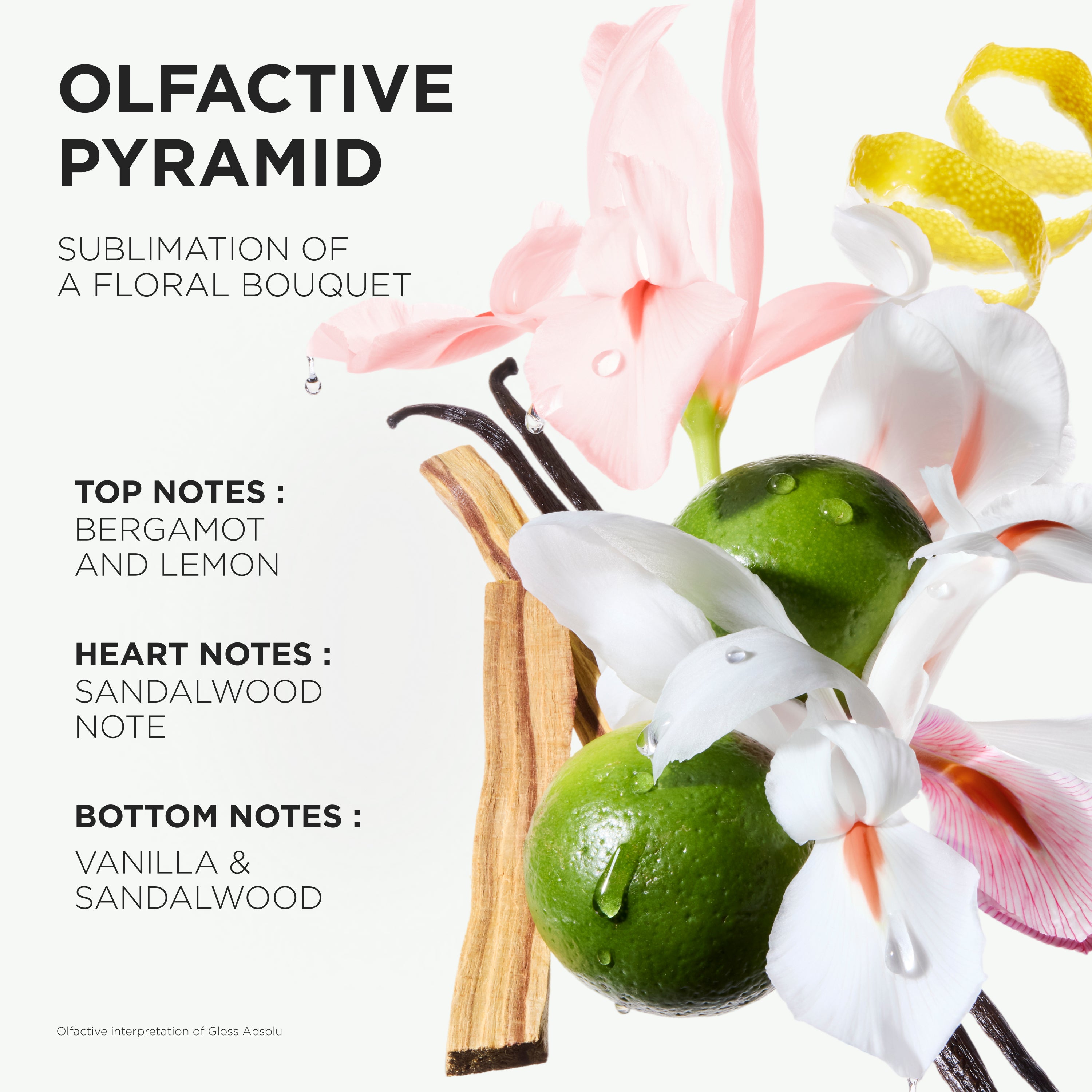 Kerastase Gloss Absolu Cream 240ml