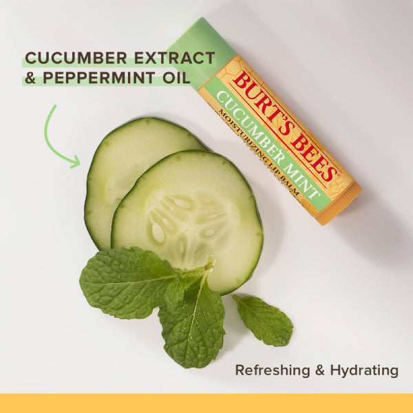 Burt's Bees Lip Balm