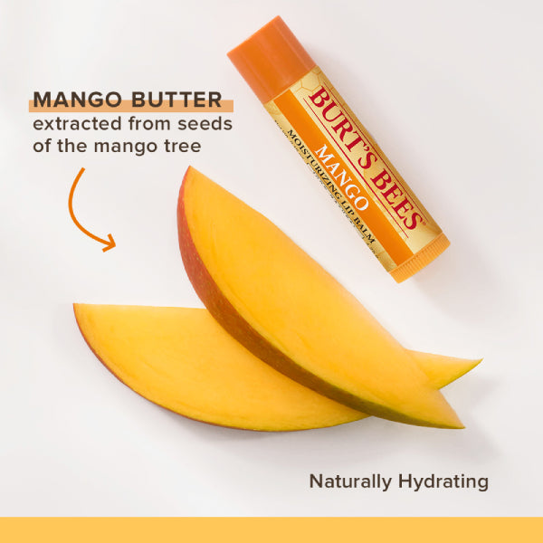 Burt's Bees Lip Balm