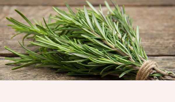 ROSEMARY HAIR ACTIVATING