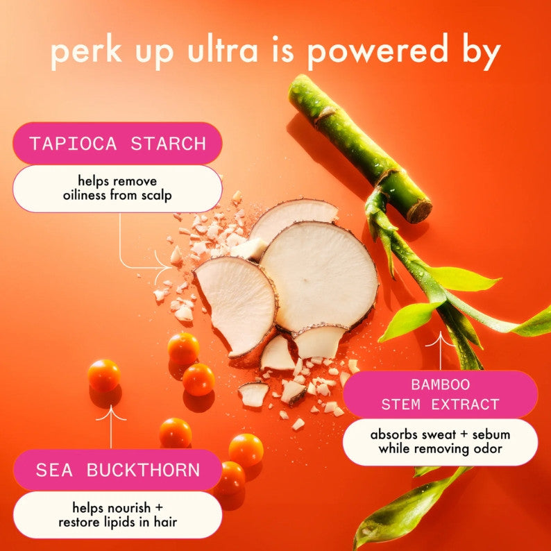 Amika Perk Up Ultra Oil Control Dry Shampoo TRAVEL 84ml
