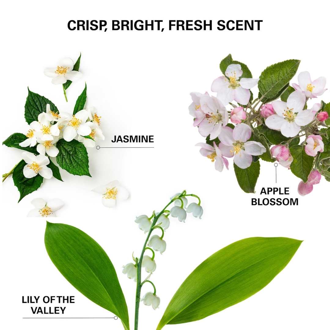 Color Wow Insta-Wow Dry Shampoo 171ml