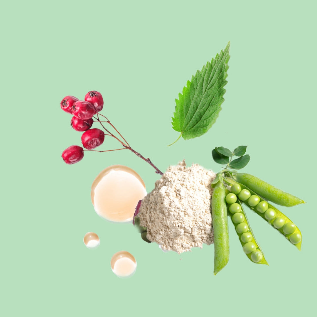 Joico Scalp Vitality Refreshing Shampoo 300ml