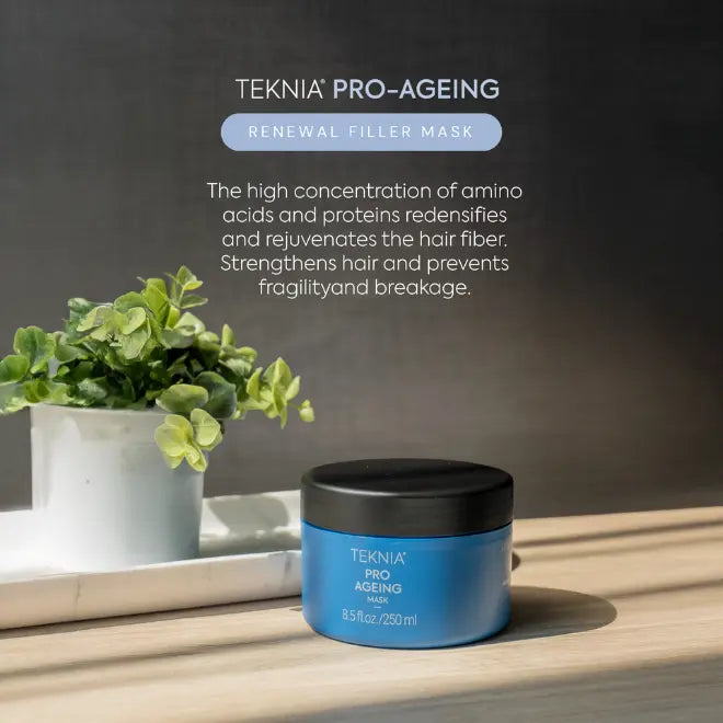 Lakme Teknia Pro Ageing Mask 250ml