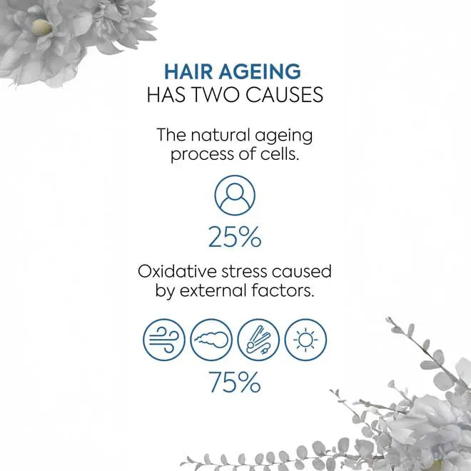 Lakme Teknia Pro Ageing Mask 250ml