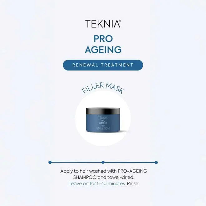 Lakme Teknia Pro Ageing Mask 250ml