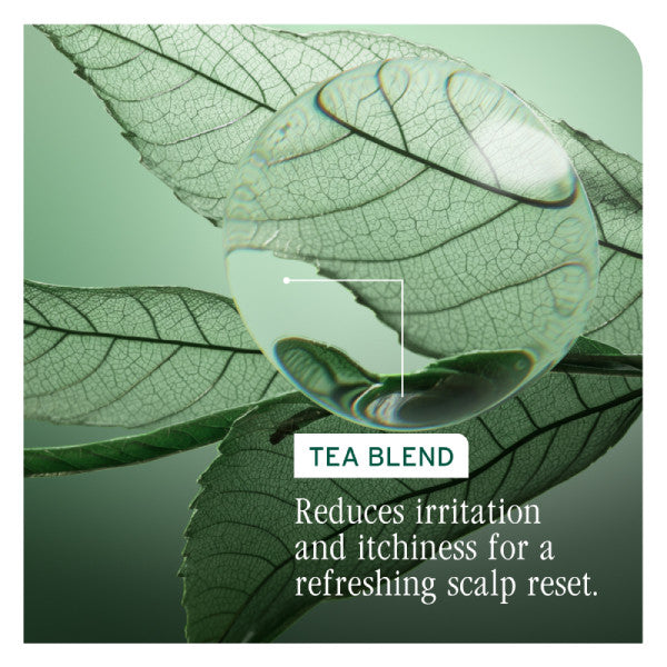 Matrix Biolage Scalp Sync Clarifying Shampoo 400ml *NEW*