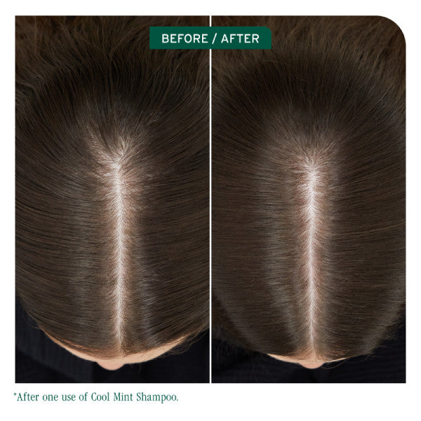 Matrix Biolage Scalp Sync Cool Mint Shampoo 400ml *NEW*