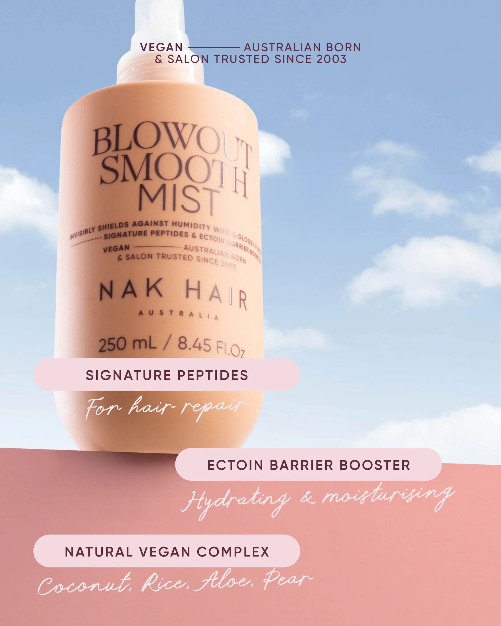 NAK Hair Blowout Smooth Mist 250ml
