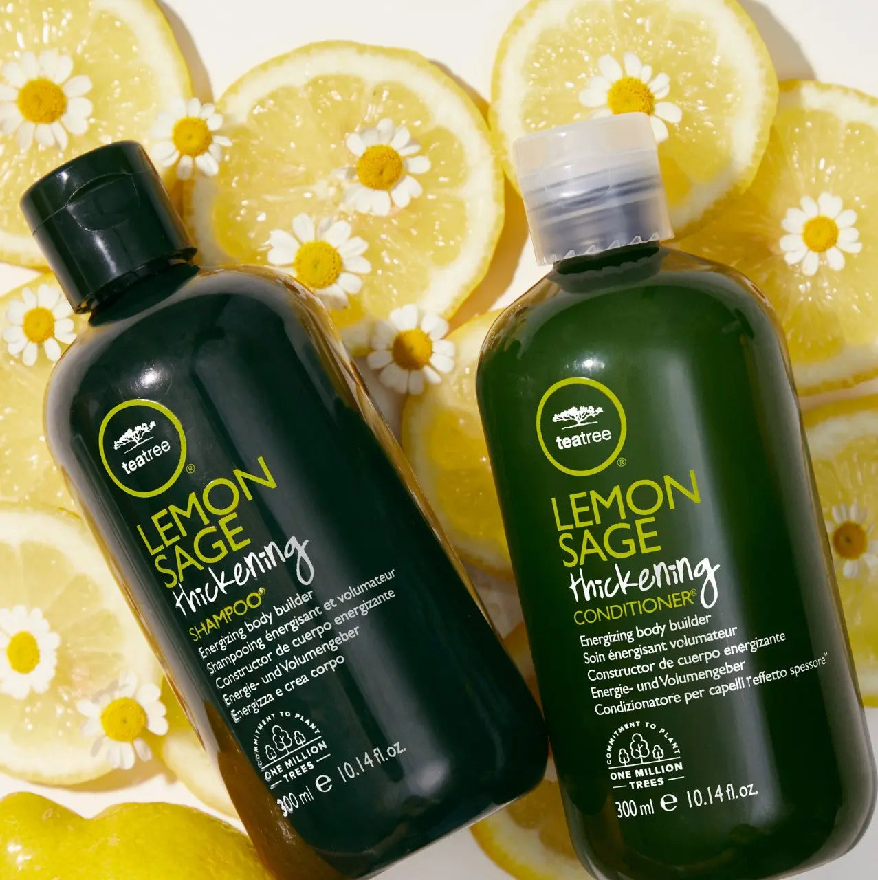 Paul Mitchell Tea Tree Lemon Sage Shampoo 300ml