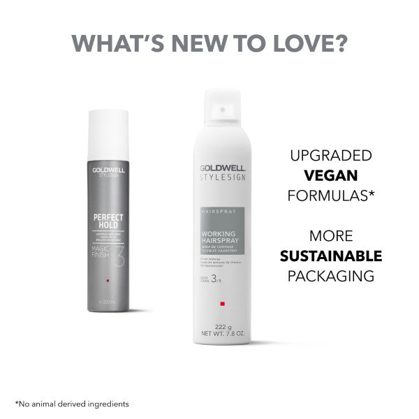 Goldwell StyleSign HAIRSPRAY Working Hairspray 300ml