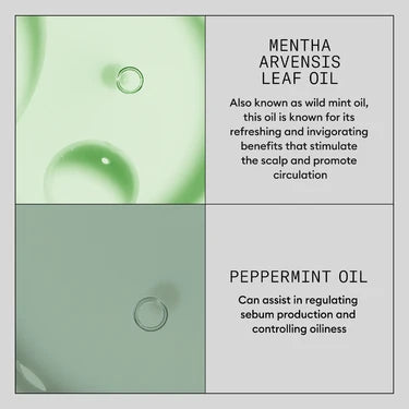 Nioxin Hair Booster Serum Serum 100ml