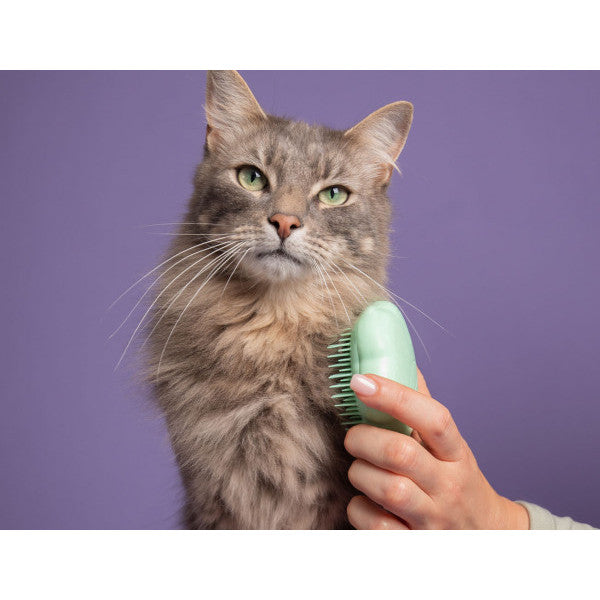 Tangle Teezer Cat Teezer - Mint Green
