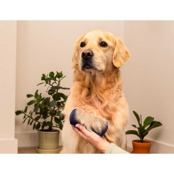 Tangle Teezer Large De-Shedding Pet Teezer - Purple Black