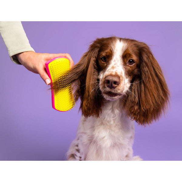 Tangle Teezer Detangling Pet Teezer - Pink Yellow