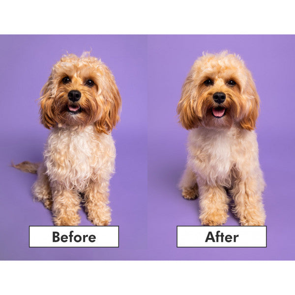 Tangle Teezer Detangling Pet Teezer - Pink Yellow